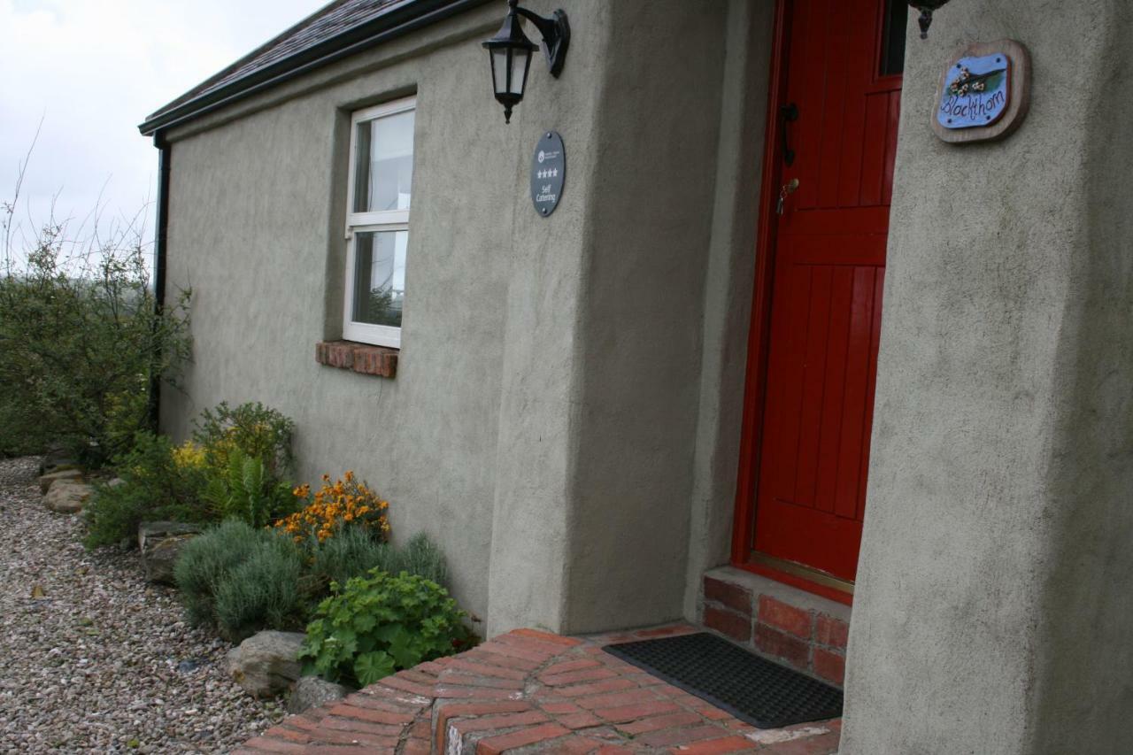 Slievemoyle Cottages Raholp Exterior photo